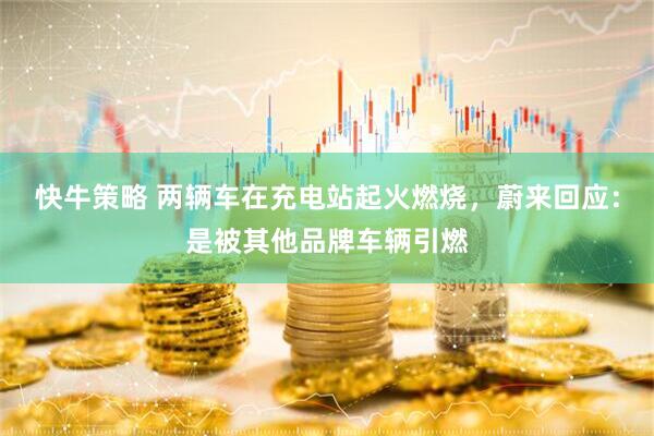快牛策略 两辆车在充电站起火燃烧，蔚来回应：是被其他品牌车辆引燃