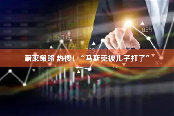 蔚莱策略 热搜！“马斯克被儿子打了”