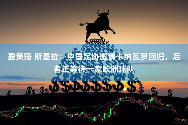 盈策略 斯基拉：中国足协邀请卡纳瓦罗回归，后者正等待一家欧洲球队