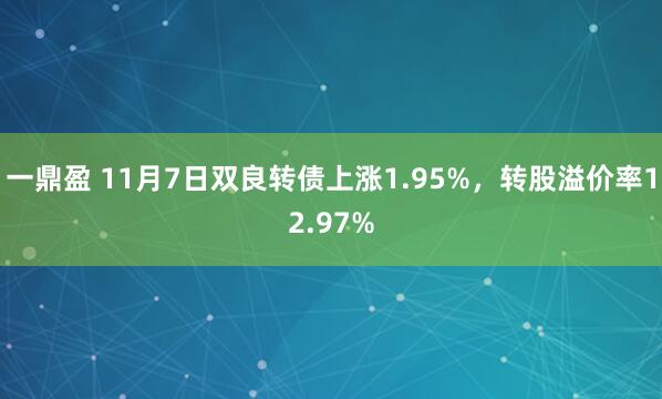 一鼎盈 11月7日双良转债上涨1.95%,转股溢价率12.97%