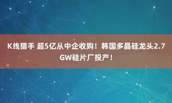 K线猎手 超5亿从中企收购！韩国多晶硅龙头2.7GW硅片厂投产！