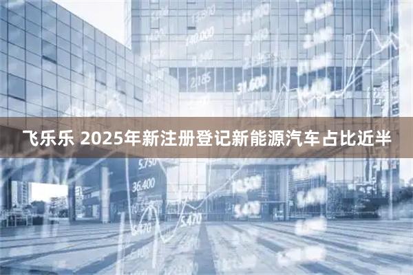 飞乐乐 2025年新注册登记新能源汽车占比近半